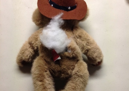Teddy Bear Craft Back Surgery 2014-10-25