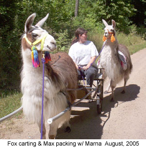 foxmaxmarna 2005-08-14.jpg